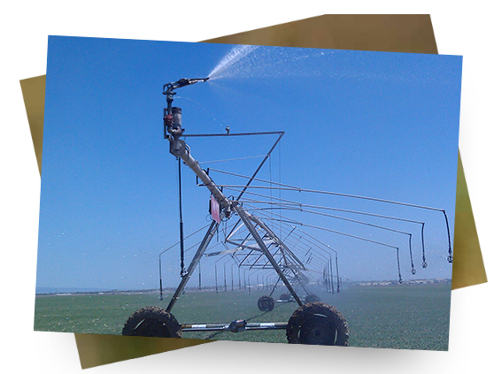 idaho water rights
